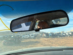 Used Front Center Interior Rear View Mirror fits: 2004 Toyota Camry ma