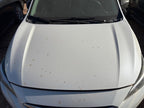 Used Hood fits: 2021 Subaru Impreza  Grade A