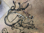 Used Engine Wiring Harness fits: 2001 Volkswagen Eurovan Engine Wire H