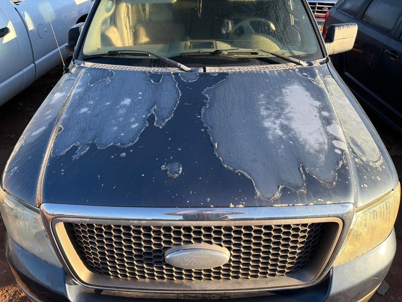 Used Hood fits: 2006 Ford F150 PICKUP New Style hood mounted grille Gr
