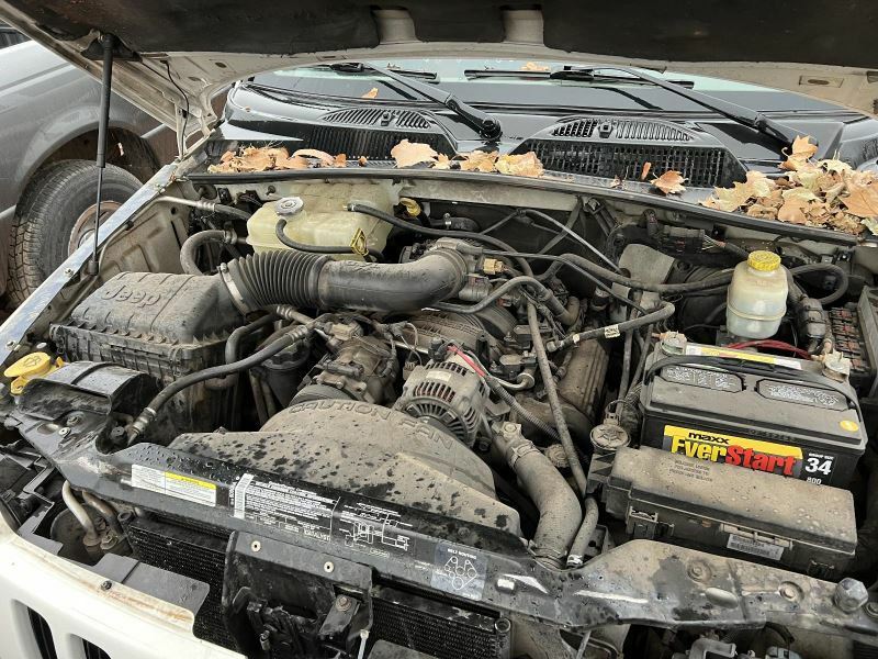 Alternator Denso Oval Plug Fits 01-11 DAKOTA 460980
